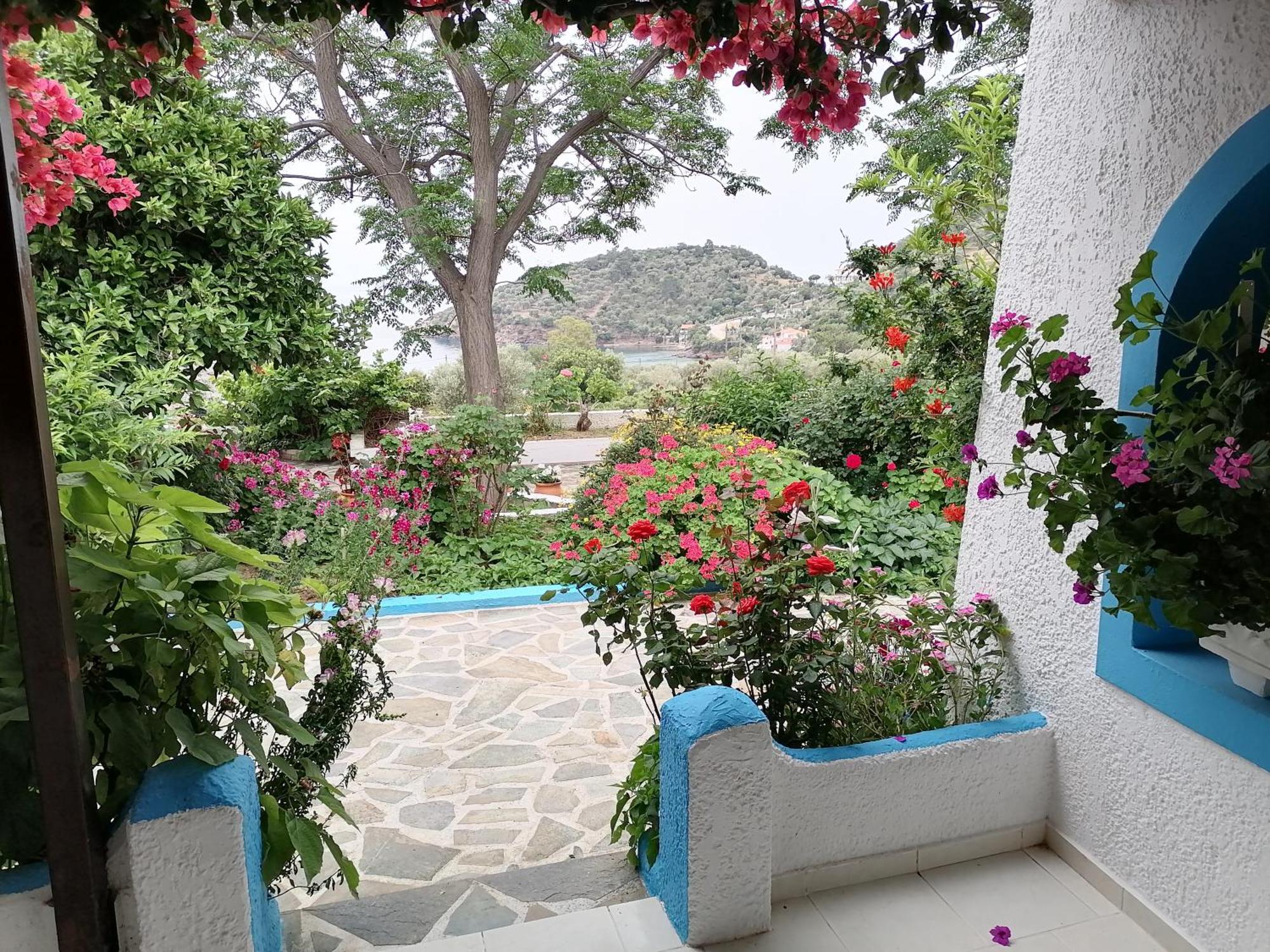 מאראת'וקאמפוס Studios Ioanna Limnionas Samos מראה חיצוני תמונה
