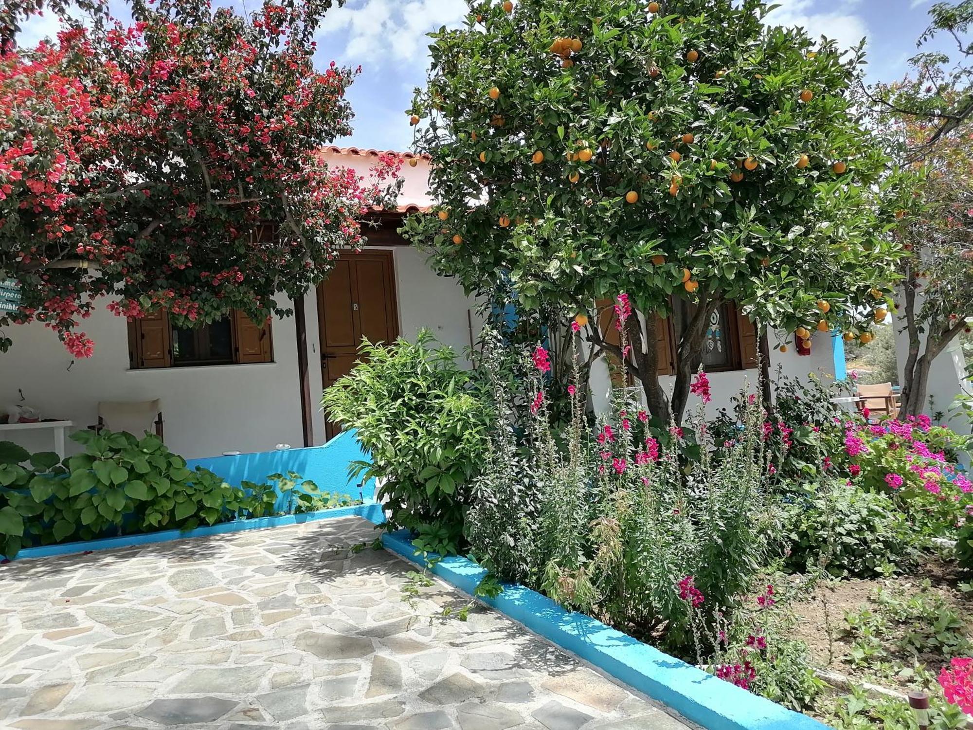 מאראת'וקאמפוס Studios Ioanna Limnionas Samos מראה חיצוני תמונה